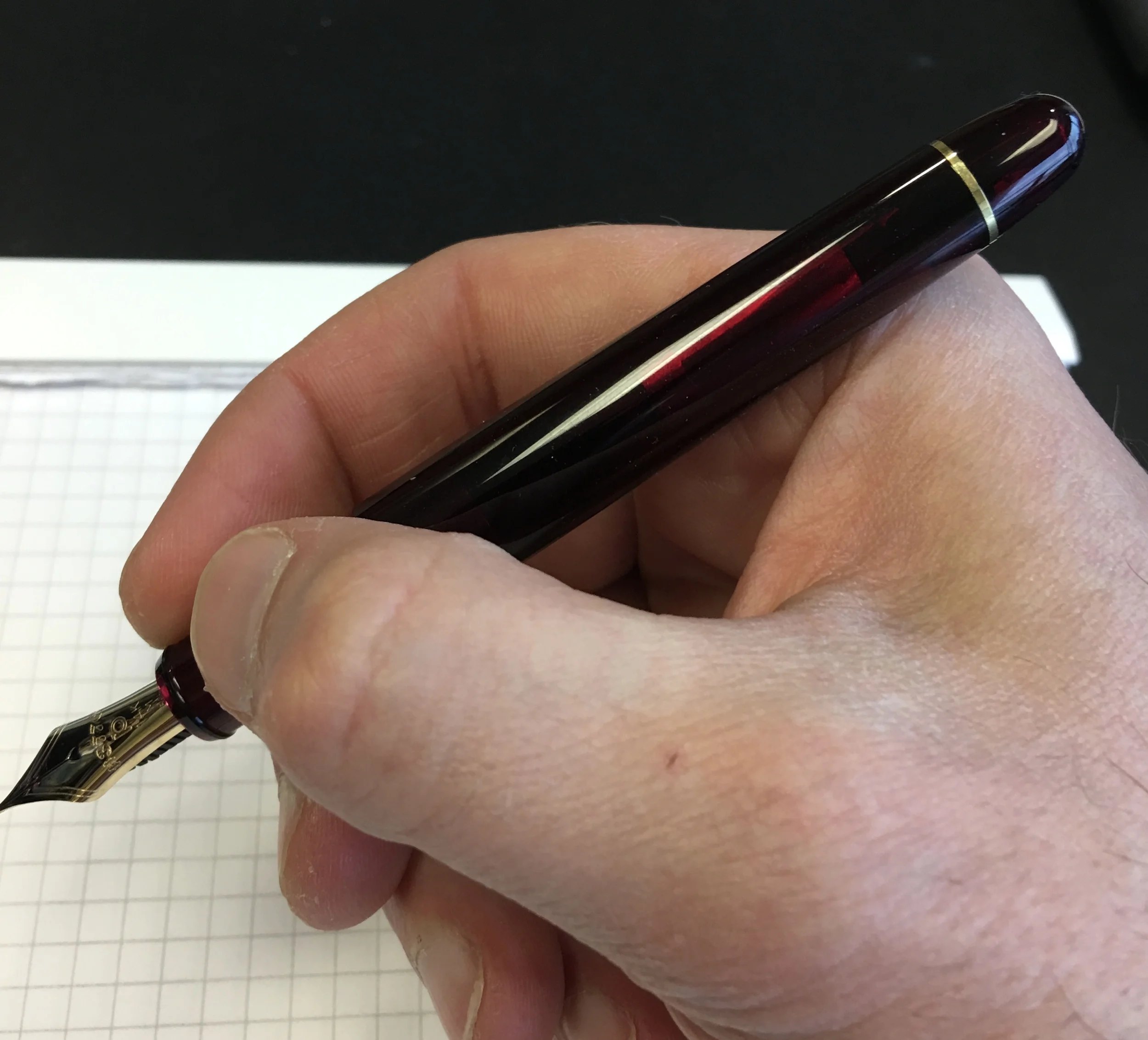 Pen Review: The Platinum 3776 Century: Chartres and Bourgogne